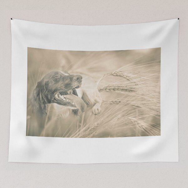 Item preview, springer  designed and sold by Paulspicks.
