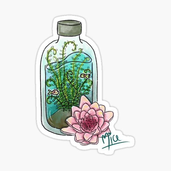 Water Plant Sticker