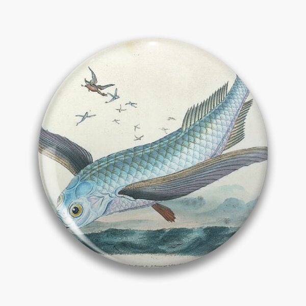 Item preview, Cool Flying Fish Drawing designed and sold by critterville.