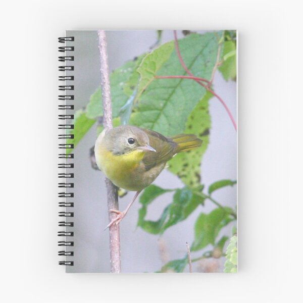 Item preview, Common Yellowthroat  designed and sold by Enola Gay Wagner.