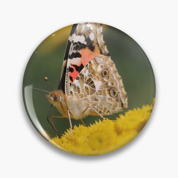 Item preview, Painted lady on Tansy designed and sold by cuprum.