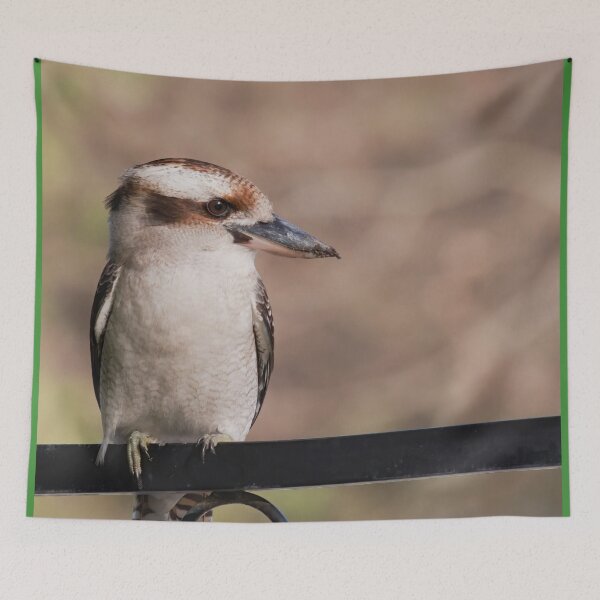 Item preview, Kookaburra sitting on a fence photo in the late evening.  designed and sold by hendrikspix.