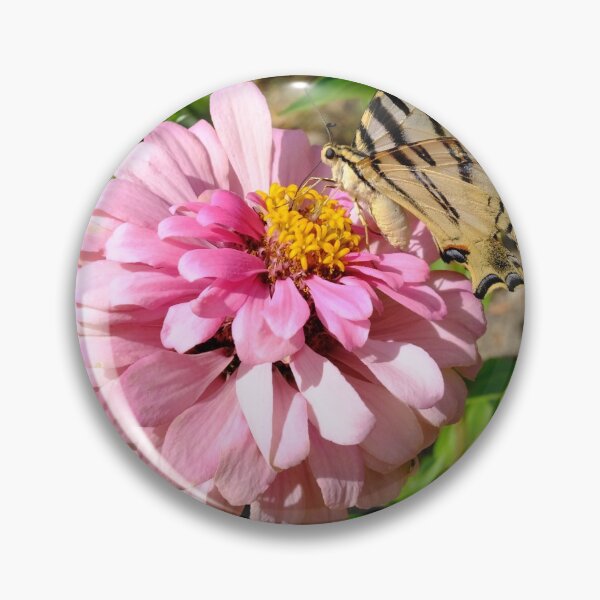 Item preview, Swallowtail Butterfly designed and sold by Digby Merry.