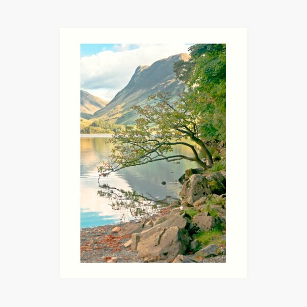 The Kissing Tree Art Print