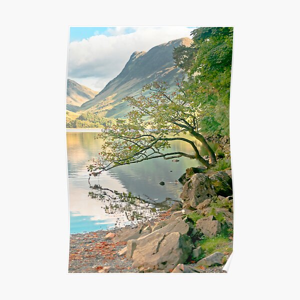 The Kissing Tree Poster