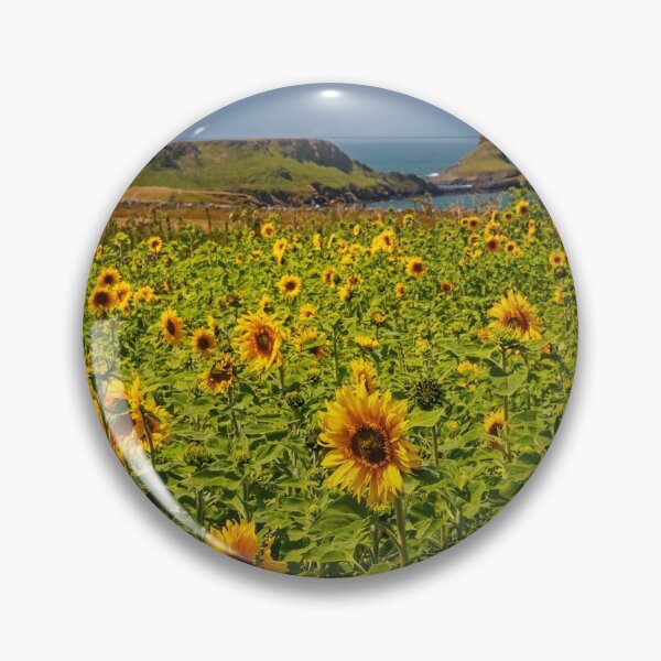 Item preview, Rhossili Sunflowers designed and sold by Dan Santillo.