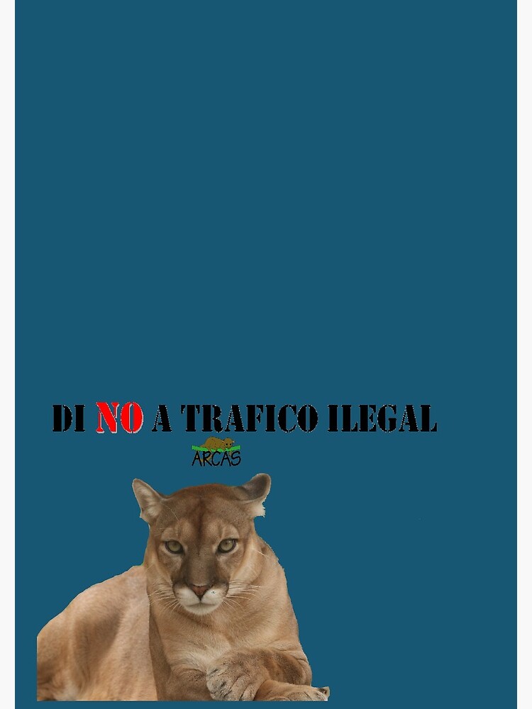 Thumbnail 3 of 3, Spiral Notebook, Say No to illegal traffic: cat designed and sold by ARCASrescate.