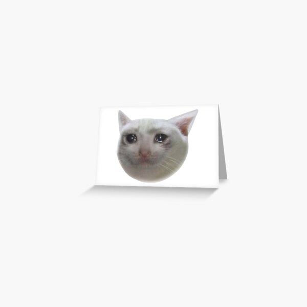 Thumbs Up Sad Cat Meme OK Cat 3 Sticker | Meme Lolcat