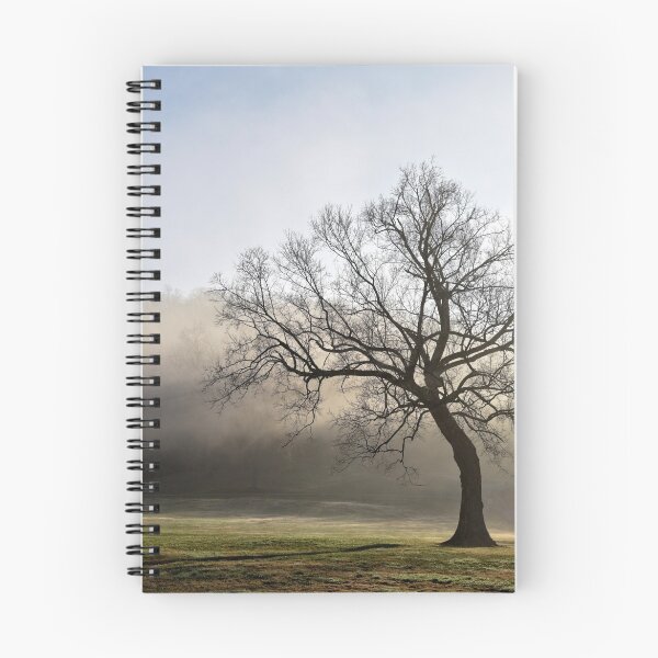 Item preview, A Tree In The Park designed and sold by LarryB007.