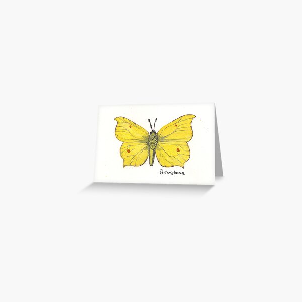 Item preview, Brimstone butterfly. designed and sold by Sam Burchell.