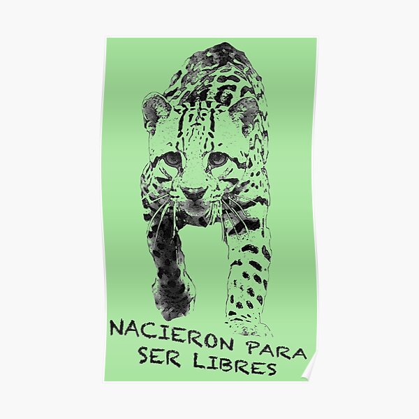 Ocelot: Born to be Free Poster