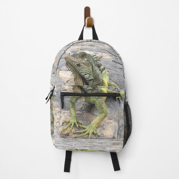 Item preview, Galapagos Iguana designed and sold by CncptulCaptures.