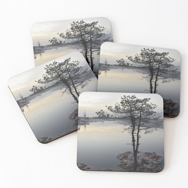 Item preview, Pine tree winter morning swamp photography designed and sold by Misschemical.