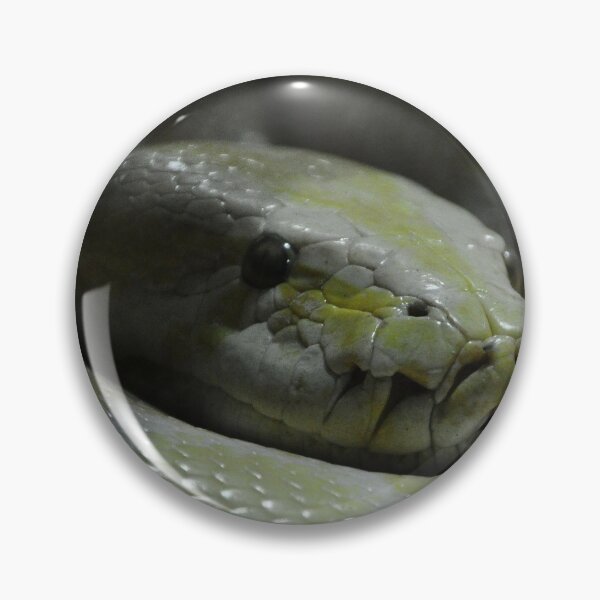 Item preview, Yellow & White Python  designed and sold by critterville.