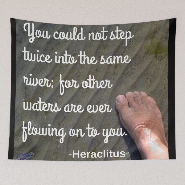 Item preview, You could not step twice into the same river designed and sold by Caregiverology.