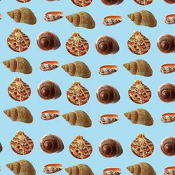 Artwork thumbnail, Seashells Galore Pattern by Rell1970