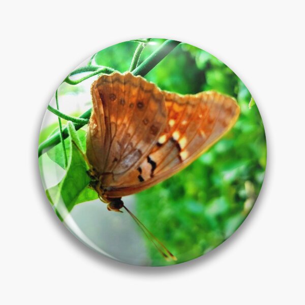 Item preview, Butterfly with green leaf designed and sold by Zen's art shop.