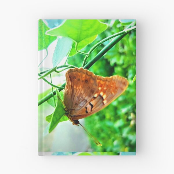 Item preview, Butterfly with green leaf designed and sold by Zen's art shop.