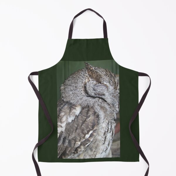 Item preview, Sleepy Owl designed and sold by ClockworkOrchid.