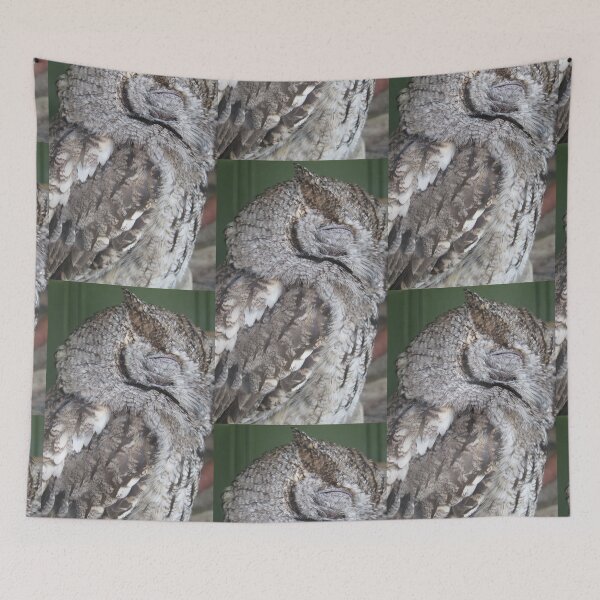 Item preview, Sleepy Owl designed and sold by ClockworkOrchid.