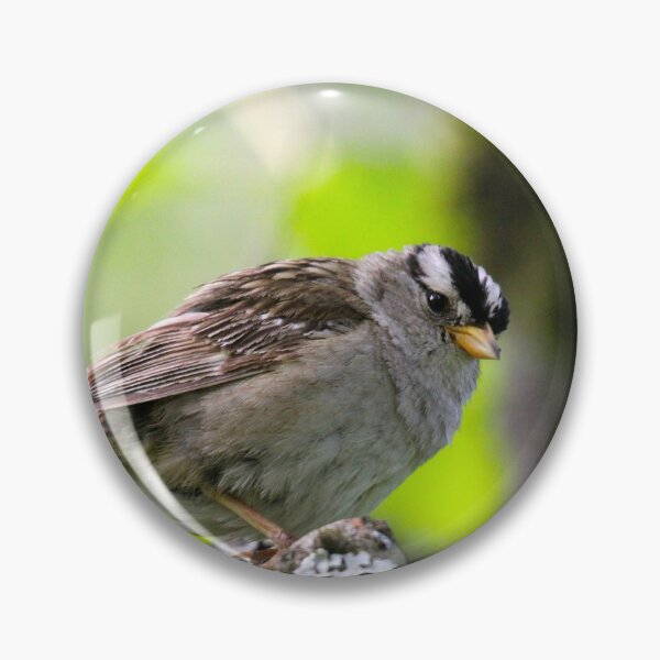 Item preview, White Crowned Sparrow... designed and sold by RichImage.