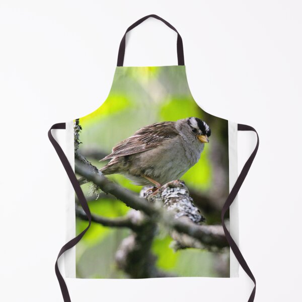 Item preview, White Crowned Sparrow... designed and sold by RichImage.