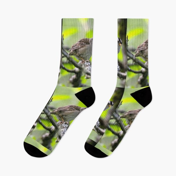 Item preview, White Crowned Sparrow... designed and sold by RichImage.