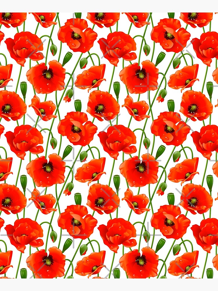 Beautiful Red Poppy Flowers by Makanahele