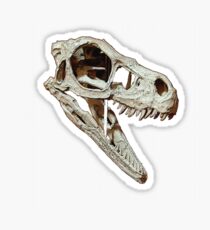 Raptor Sticker