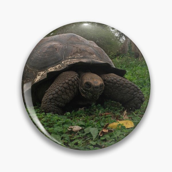 Item preview, Galapagos Tortoise  designed and sold by CncptulCaptures.