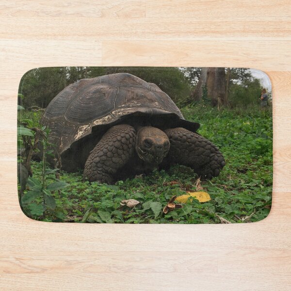 Item preview, Galapagos Tortoise  designed and sold by CncptulCaptures.