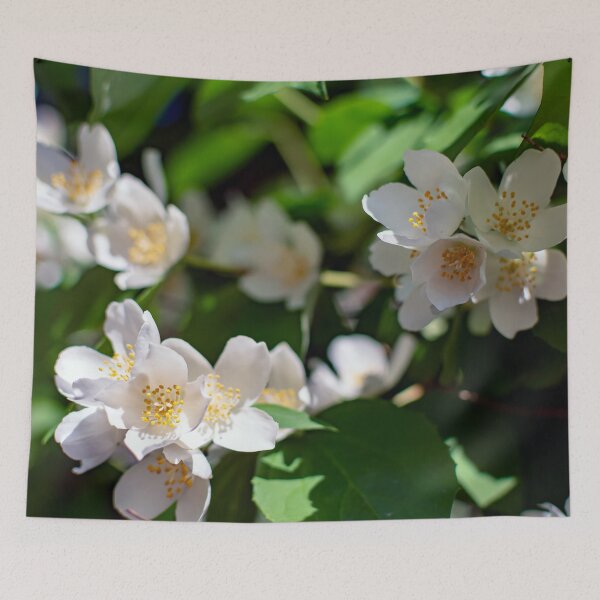 Item preview, Sweet mock-orange (Philadelphus coronarius) flowers designed and sold by lena-maximova.