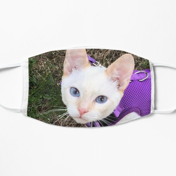 Binx Mask