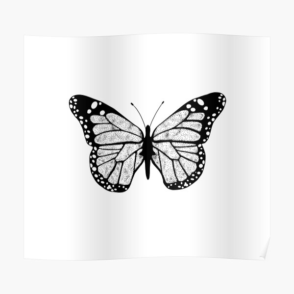 "Black and White Butterfly" Poster by faithsickler Redbubble