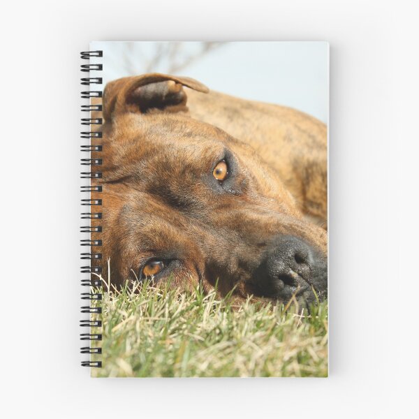 Item preview, Dog Lying Down designed and sold by WriteThatDown.