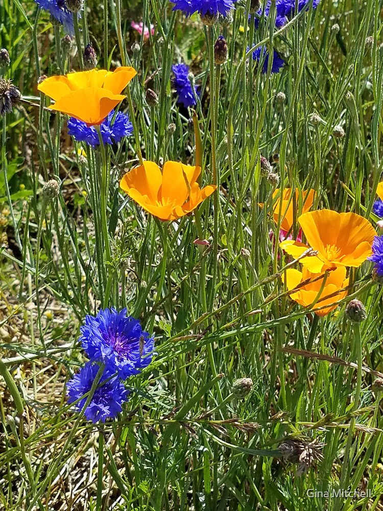 "Yellow and Purple Wild flowers" Sticker for Sale by GinaMitchell