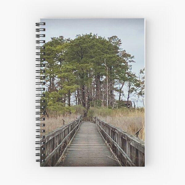 Item preview, Coastal Boardwalk Trail designed and sold by KDQuin .