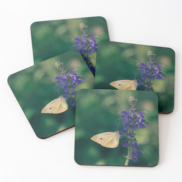 Item preview, Salvia and moth designed and sold by Mass Monumentalist.