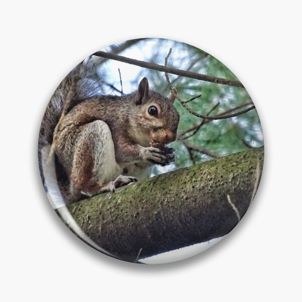 Item preview, Feeling a little Squirrely! designed and sold by brunoanjoloart.