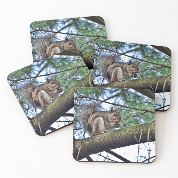 Item preview, Feeling a little Squirrely! designed and sold by brunoanjoloart.