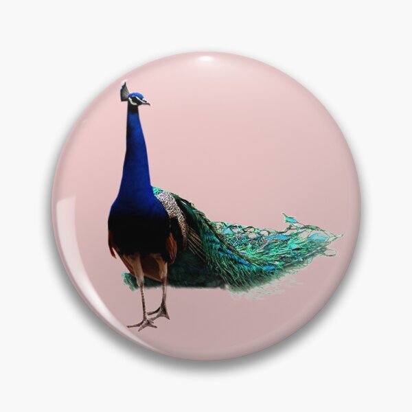 Item preview, PAVONE VANITOSO  designed and sold by farfalla68.