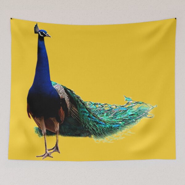 Item preview, PAVONE VANITOSO  designed and sold by farfalla68.