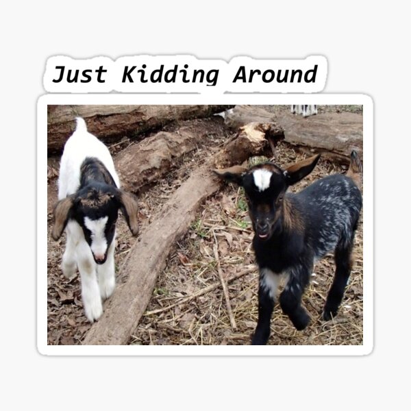Item preview, Kidding Around designed and sold by ErinTr.