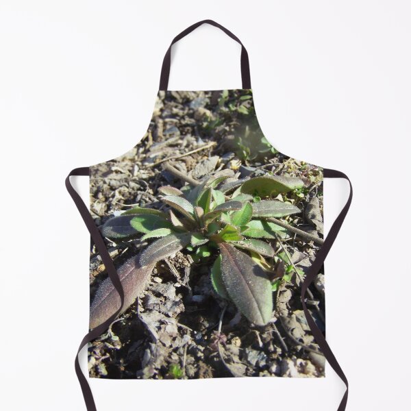 Item preview, Rocky Plant designed and sold by GrudleBay.