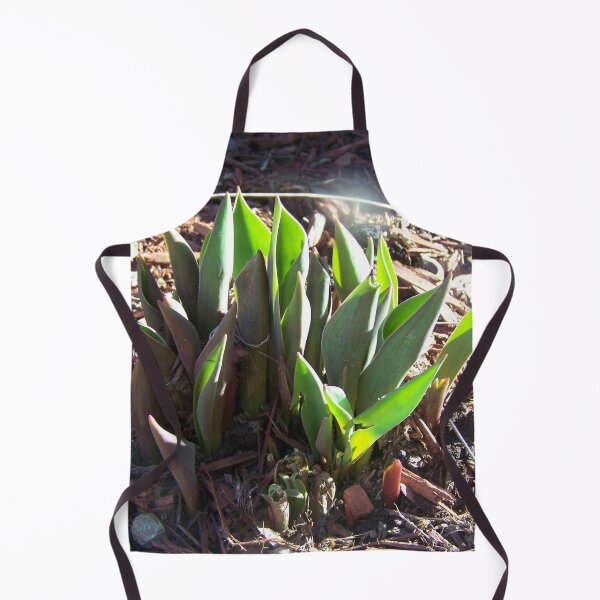 Item preview, Sprouting Tulip Plant designed and sold by GrudleBay.