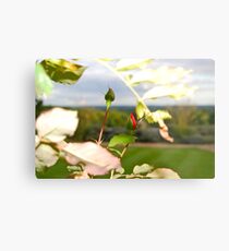 Buds of Spring Metal Print