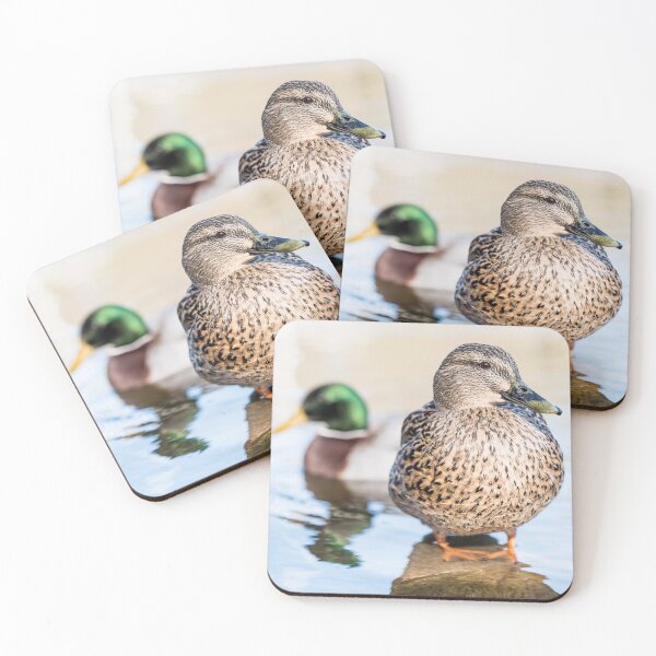 Item preview, Mallard designed and sold by Paulspicks.
