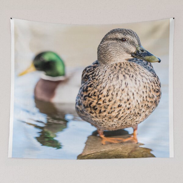 Item preview, Mallard designed and sold by Paulspicks.