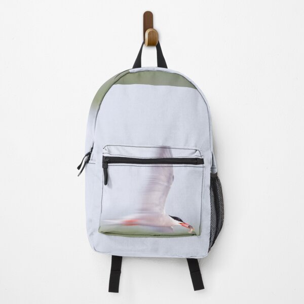 Item preview, Common Tern Zooming designed and sold by Gerard Fornarotto.