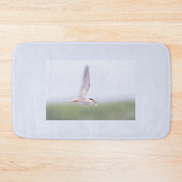 Item preview, Common Tern Zooming designed and sold by Gerard Fornarotto.